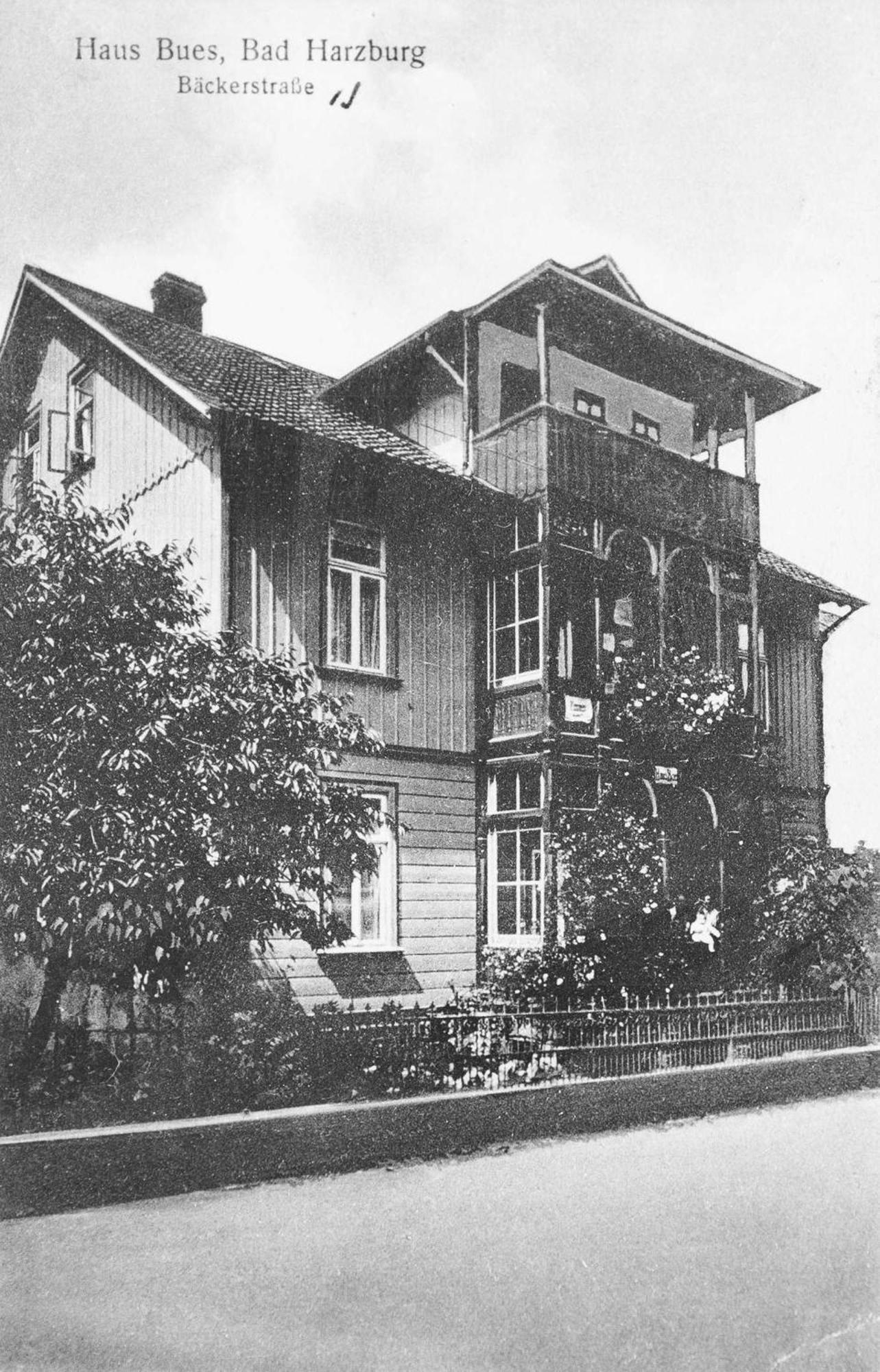 Villa Charlotte Bad Harzburg Extérieur photo
